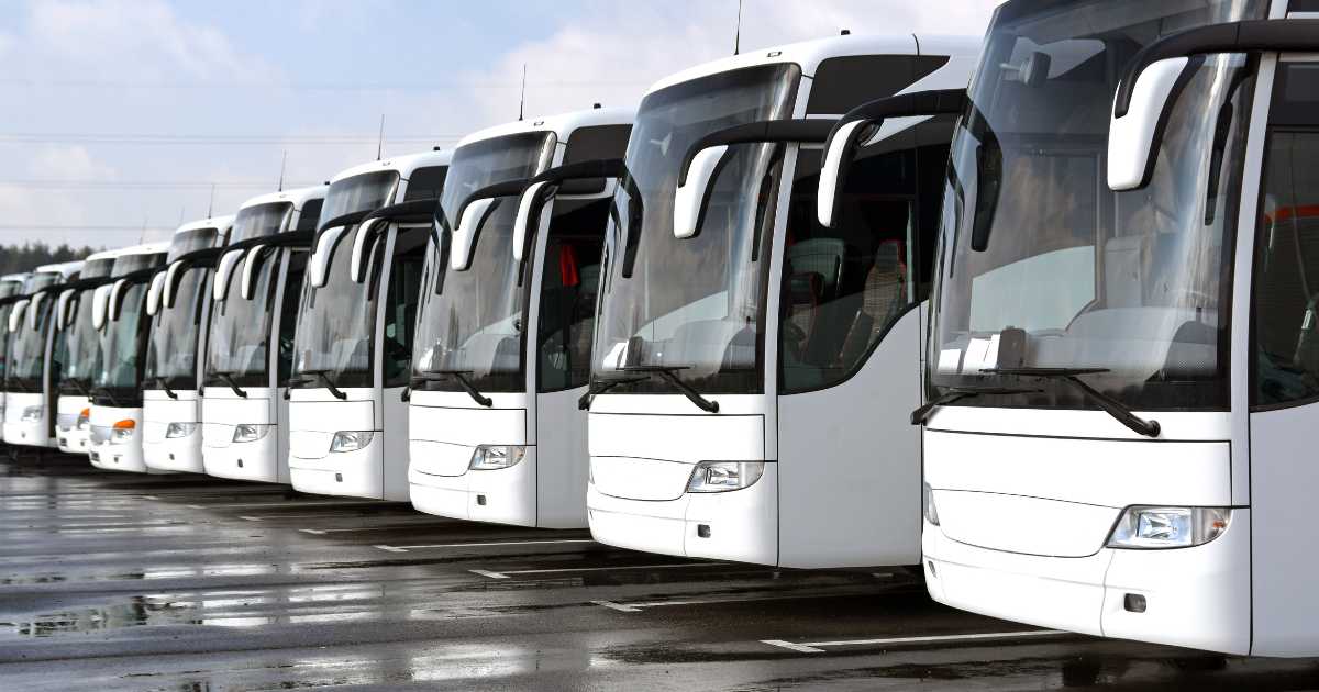 Tudo o que você precisa saber sobre viagens de ônibus de São Paulo a Ilhéus